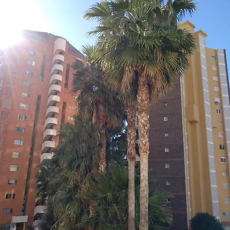 Gemelos V Alquilevante Benidorm